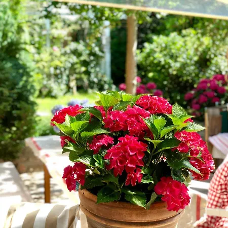 Weisst Du Noch - Gaestehaeuser &